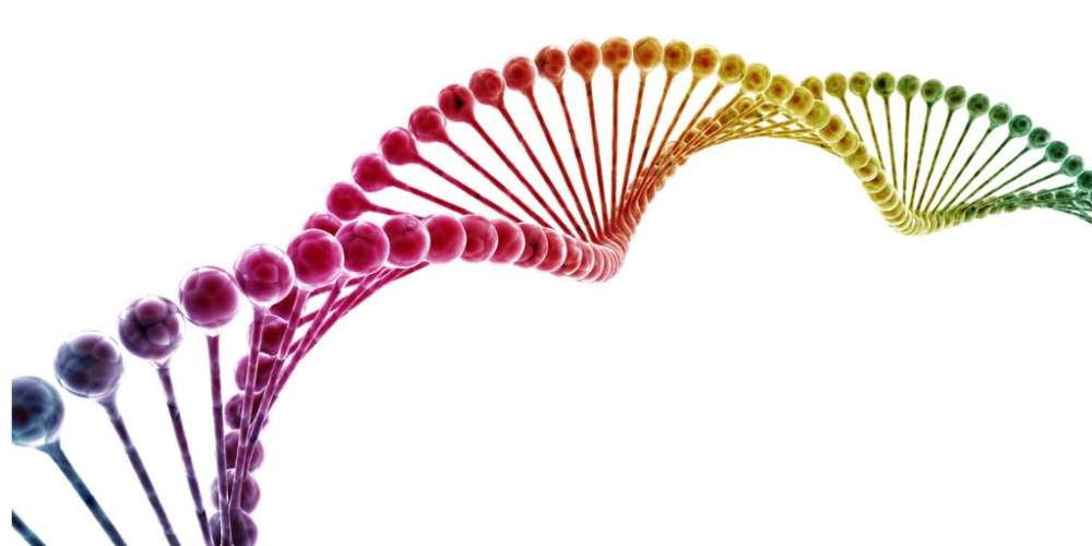 同性戀科學新解:這是一種大自然法則,對家庭有正面貢獻