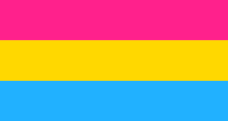 pansexual flag, pansexual definition 05, what is pansexual 05
