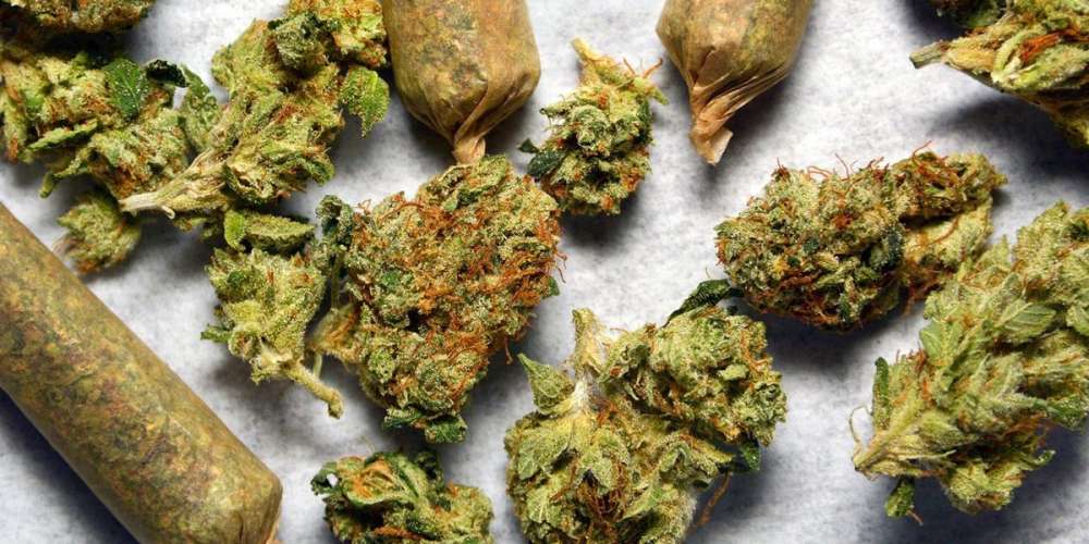A Gay Trek Across Europe, Day 9: Amsterdam, Marijuana and Coffeeshop Culture