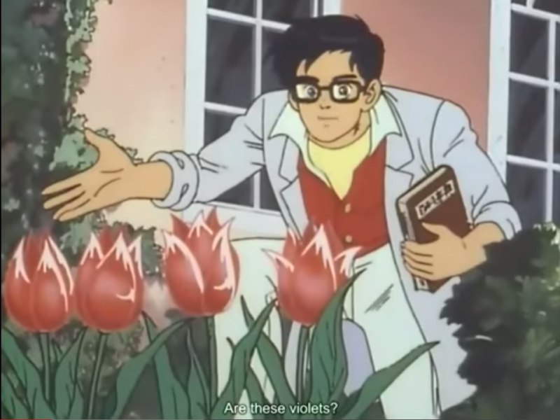is this a pigeon are these violets