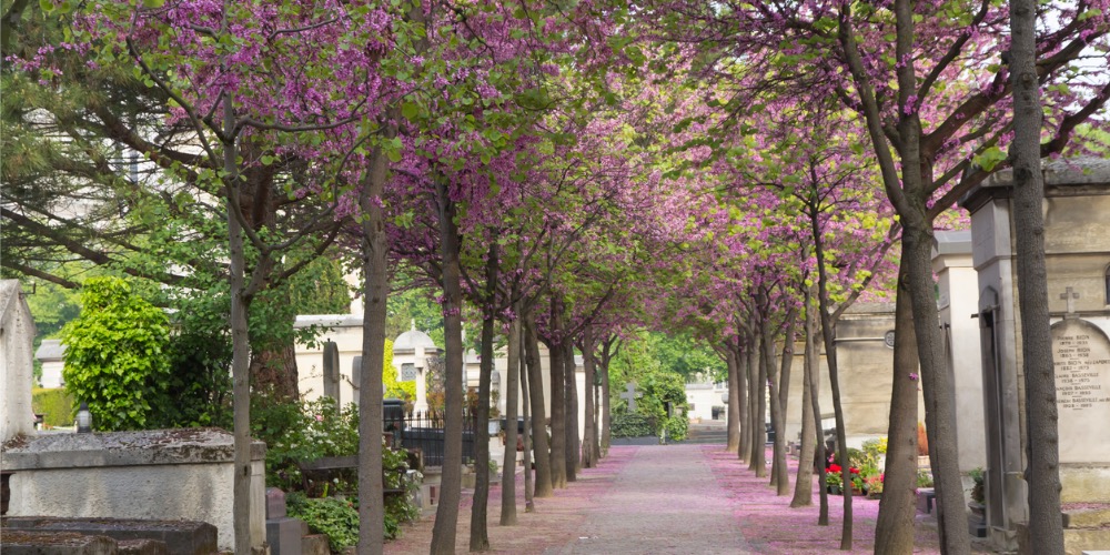 Une balade LGBT dans les cimetières parisiens (3/3): Le cimetière du Montparnasse