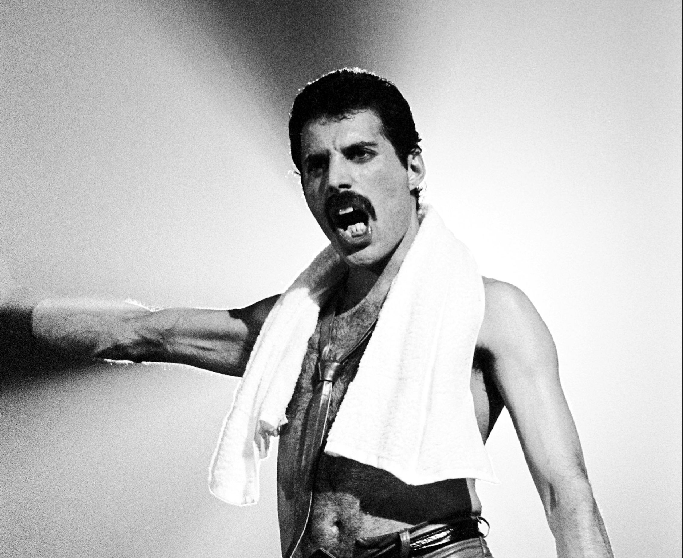 memorial day freddie mercury