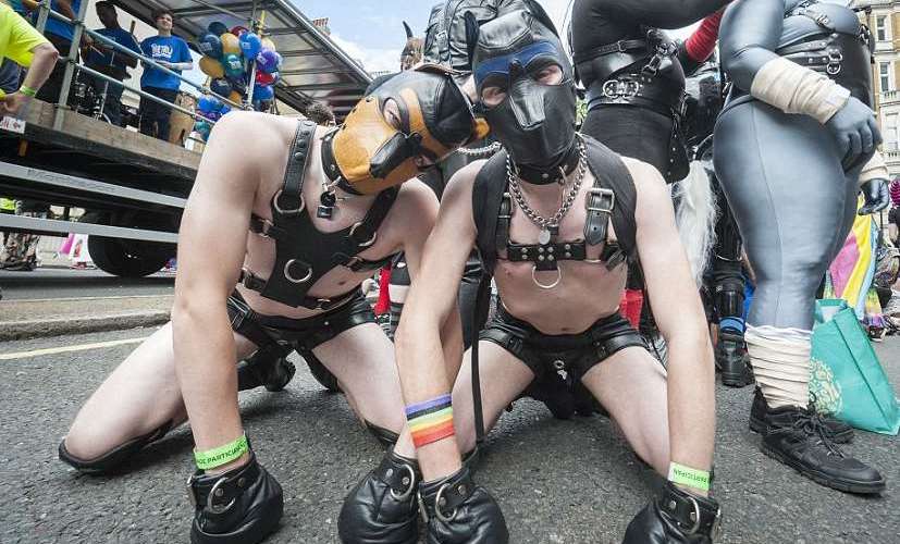 收奴、養狗、認主──BDSM華麗犬調冒險,現在出發!