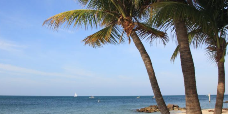 gay-key-west-zachary-taylor-park