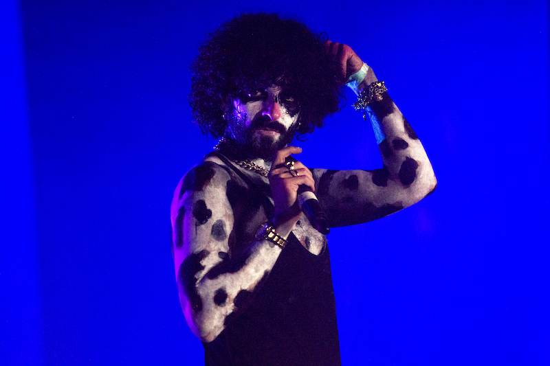 ladyland ssion