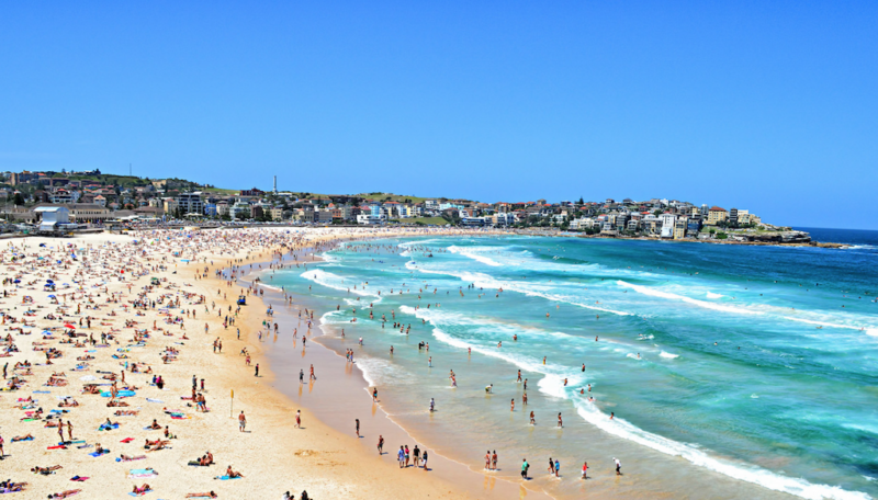 gay sydney bondi beach