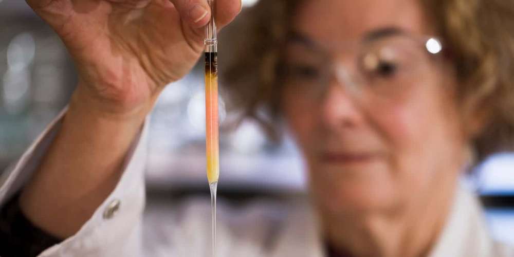 A Colorful Scientific Discovery: The First Life on Earth Was Pink
