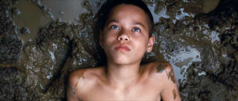 we the animals jonah