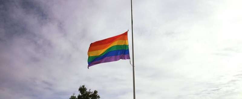 McCain Pride flag 02