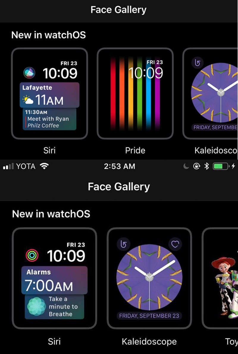 apple watch in russia face gallery