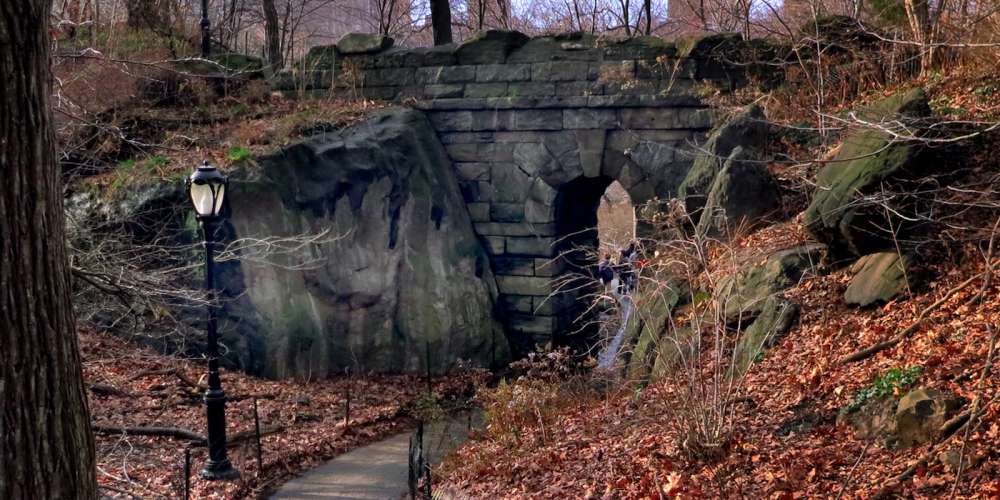 Love in the Ramble: An Exclusive Excerpt From the Book ‘Accidental Warlocks’