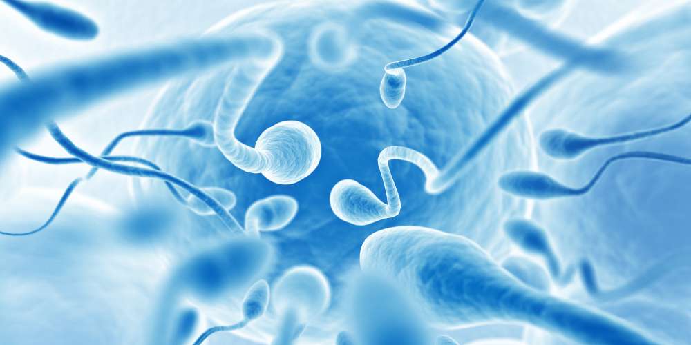 People Are Legitimately Worried That Men Could Become Infertile by the Year 2060