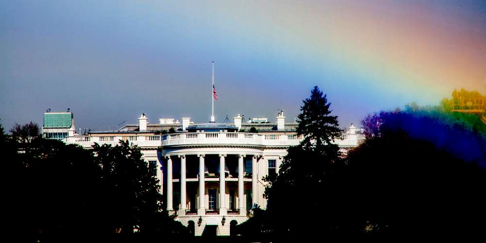 The Daily Sting, Wednesday: U.S. Midterms Bring Rainbow Wave, Ezra Miller Says #MeToo