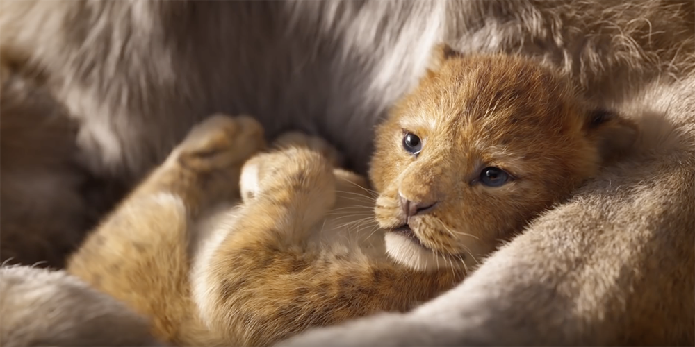 Découvrez le premier teaser du « Roi Lion » nouvelle version