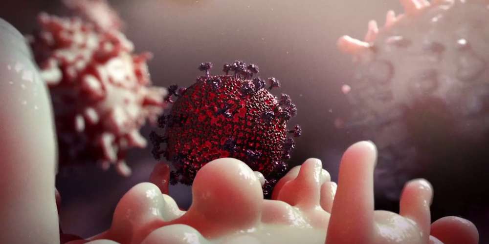Instituto Pasteur divulga pesquisa em que destrói células infectadas pelo HIV