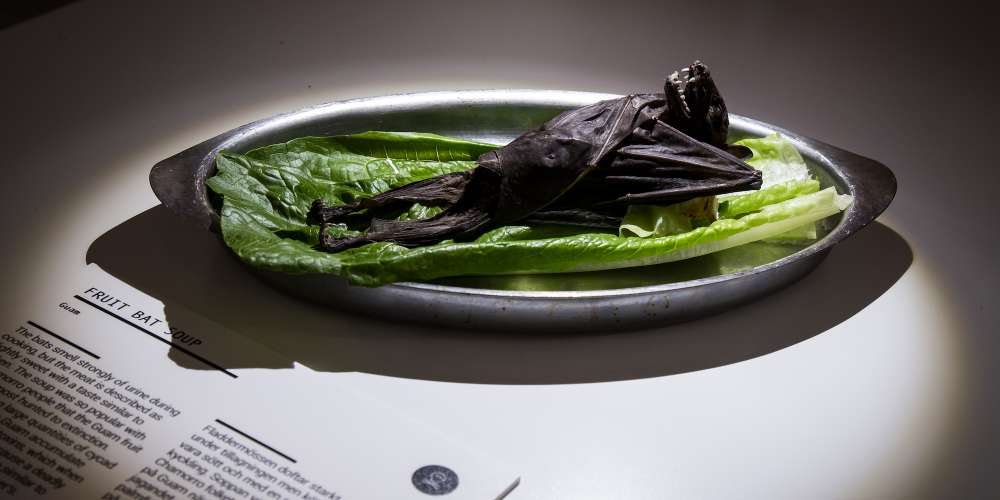 Here Are 6 International Delicacies You’ll Find at L.A.’s Disgusting Food Museum