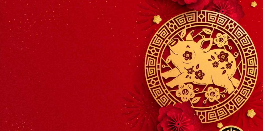 豬年到!別當同志親友豬隊友!八個平權大補帖讓你「豬」事順心保平安