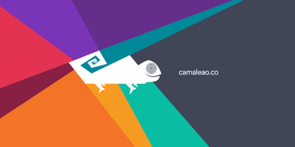 Vagas para LGBTs no mercado de trabalho: acesse a Camaleão