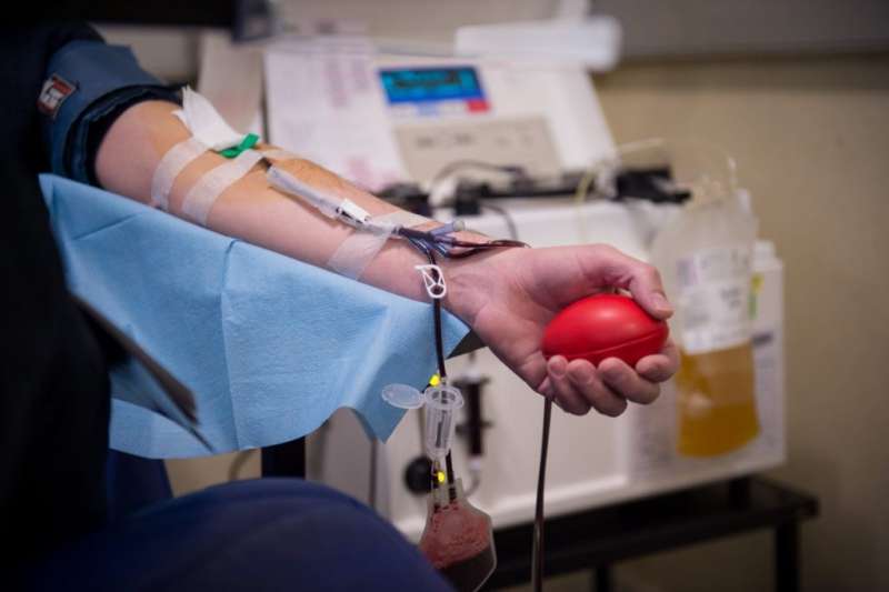 Banco de sangue ilegal