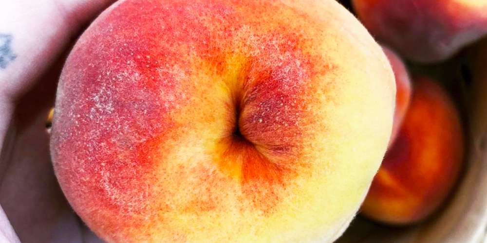 ‘Secret Buttholes’ Es la última reveladora cuenta de Insta que deberías seguir