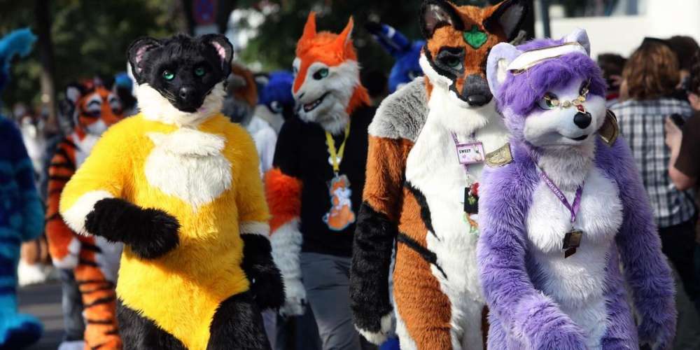 The Wonderful World of Furries: An Exploration