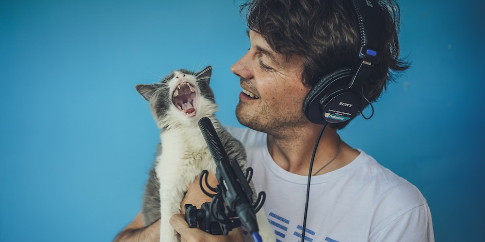 MeowTalk Translates Your Cat’s Meows Into Words You Can Understand